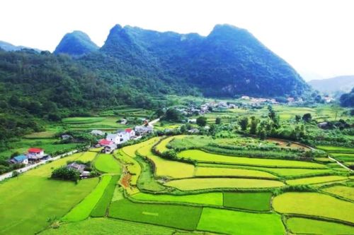 Đào Thế An - Đào Mạnh Vy - Từ một tên gọi trong hồi ký đến một danh tính lịch sử