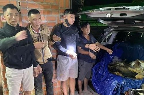 Hành trình triệt phá băng nhóm 'cẩu tặc' liên tỉnh
