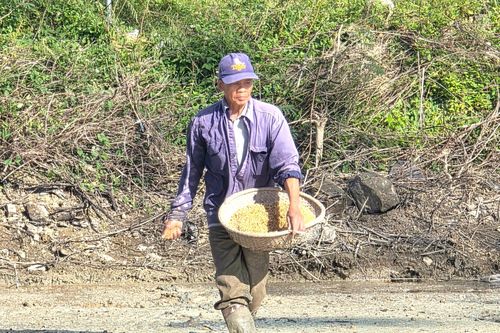 Hai tháng sau cơn lũ lịch sử, vùng 'rốn lũ' ở Đắk Lắk hồi sinh ra sao?