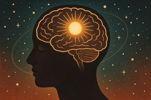 Con người sẽ thế nào khi có nhiều hơn một bộ não?