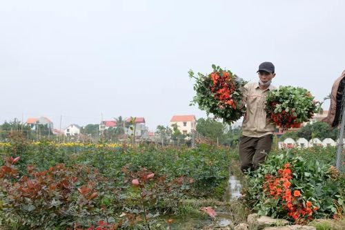 Hướng đến Đại hội XIV của Đảng: Nông dân kỳ vọng thêm những chính sách hỗ trợ sát sườn