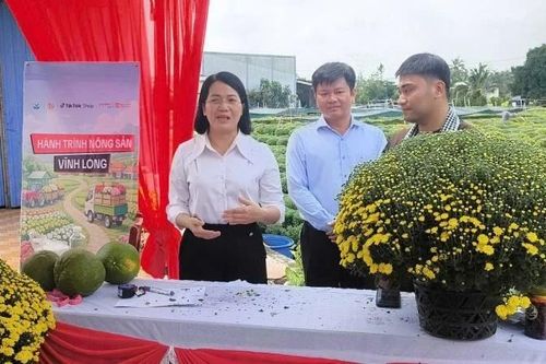 Vĩnh Long đẩy mạnh quảng bá nông sản, sản phẩm OCOP trên nền tảng số