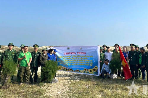 Thuận An (Huế): Rực rỡ 'Đường cờ Tổ quốc', ra quân trồng hàng dương xanh
