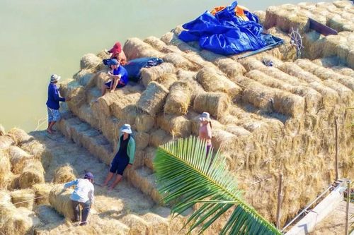 Chợ rơm mùa giáp tết