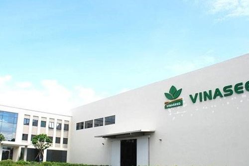 Vinaseed (NSC): Chi hơn 35 tỷ đồng trả cổ tức tiền mặt giữa lúc biên lợi nhuận rơi đáy, tồn kho và nợ vay cùng tăng vọt