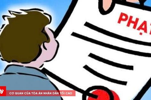 Đà Nẵng: 6 doanh nghiệp bị xử phạt vì vi phạm quy định xả thải