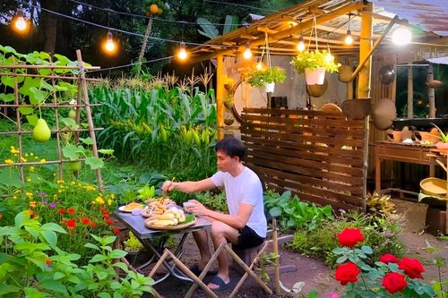 Chàng trai ở TPHCM làm khu vườn 600m2 đẹp mắt, nấu cơm bếp củi, ăn rau tự trồng
