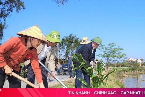 Hà Tĩnh lan tỏa phong trào trồng cây xanh bảo vệ môi trường