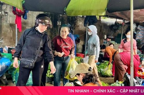 Nguồn cung dồi dào, giá rau xanh tại Hà Tĩnh giảm mạnh