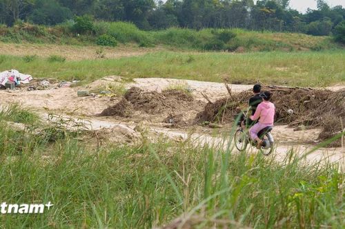 Nghịch lý cánh đồng Gò Nổi ở Đà Nẵng, khi 'vòng kim cô' vẫn 'khóa cứng' mùa vụ