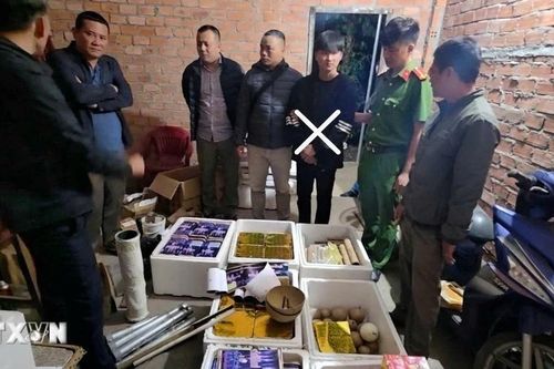 Bắt giữ thanh niên chế tạo gần 2 tạ pháo nổ để bán dịp Tết