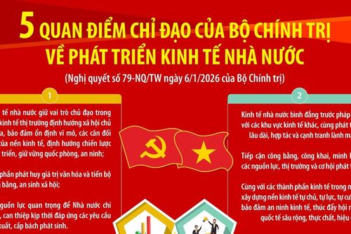 Năm quan điểm chỉ đạo của Bộ Chính trị về phát triển kinh tế nhà nước
