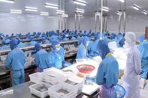 Xuất khẩu thủy sản bứt phá nhờ doanh nghiệp thích ứng linh hoạt