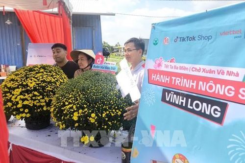 Livestream mở lối ra cho nông sản Vĩnh Long dịp Tết