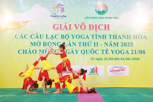 Để các liên đoàn, hiệp hội thể thao 'có đất dụng võ'