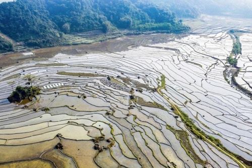 Pù Luông mùa nước đổ: Ngắm những tấm gương khổng lồ giữa núi rừng Thanh Hóa