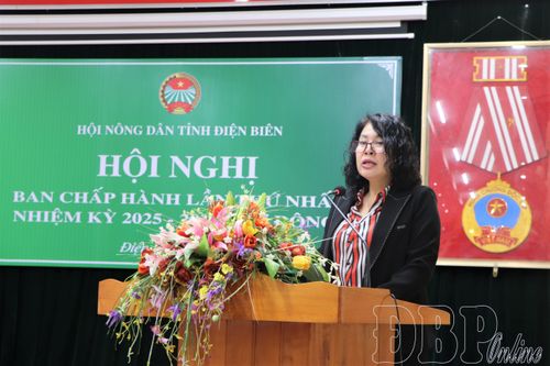 Hội Nông dân tỉnh phát triển nông nghiệp sinh thái, ứng dụng công nghệ cao
