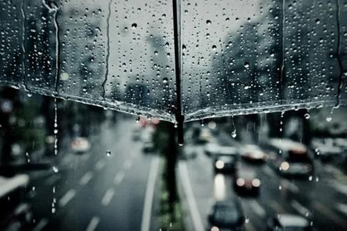 Mẹ xin lỗi con!