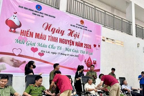 Gia Lai tiếp nhận thêm 371 đơn vị máu an toàn