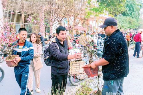 Nét đẹp chợ hoa Xuân Thành Nam