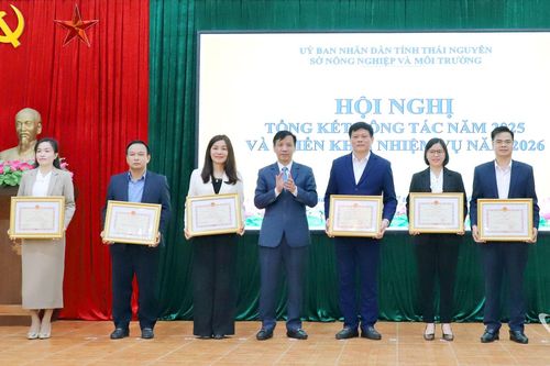 Đẩy mạnh sản xuất nông nghiệp hàng hóa gắn với bảo vệ môi trường