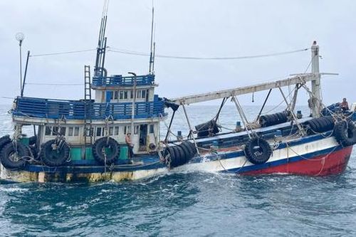 Cà Mau: Bắt giữ tàu cá không tín hiệu VMS, vận chuyển trái phép 100.000 lít dầu D.O