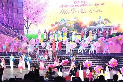 Đà Lạt tưng bừng bước vào hội mai anh đào