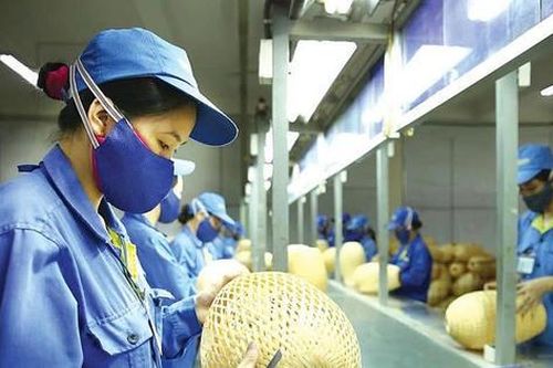 Các doanh nghiệp nhỏ và vừa, khởi nghiệp sáng tạo được miễn thuế thu nhập 3 năm