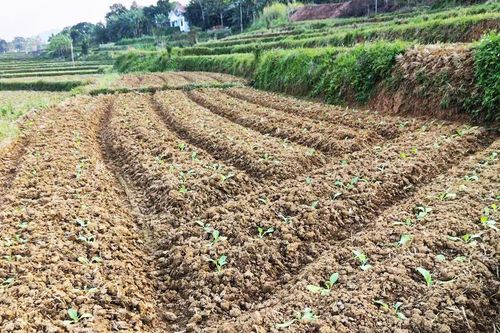 Cần đẩy nhanh tiến độ thi công công trình thủy lợi Phai Hóa