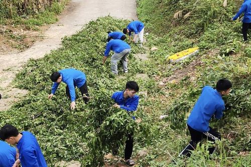 Hơn 100 thanh niên phường Nùng Trí Cao ra quân tổng dọn vệ sinh môi trường