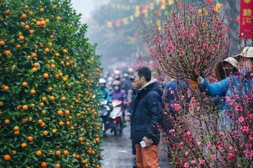Tết Nguyên đán Bính Ngọ 2026 dự báo lạnh hơn trung bình nhiều năm