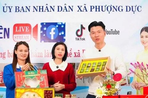 Phượng Dực tạo đột phá thương mại điện tử, hướng tới 1.000 tỷ đồng năm 2026