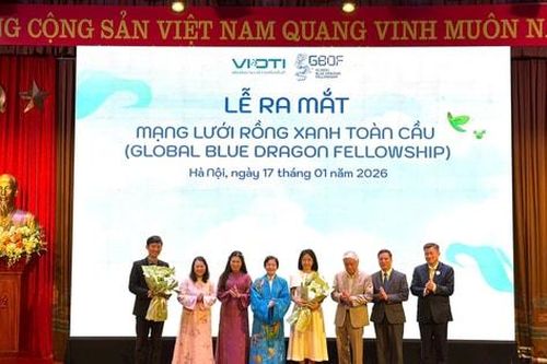 Từ 'Giấc mơ hóa Rồng Xanh' đến ra mắt Mạng lưới Rồng Xanh Toàn cầu
