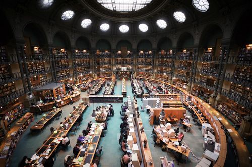 Cách các giáo sư ở Đại học Harvard khai thác tiềm năng của sinh viên
