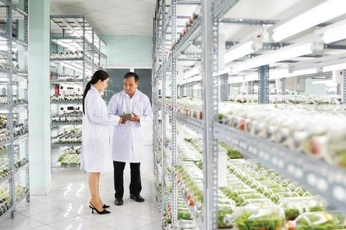 Tăng năng suất lao động, phát huy nguồn lực của nền kinh tế