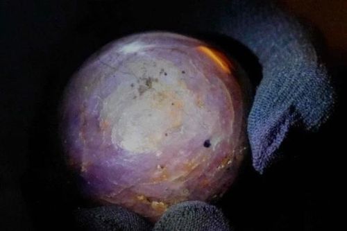 Công bố viên sapphire sao tím quý hiếm lớn chưa từng thấy