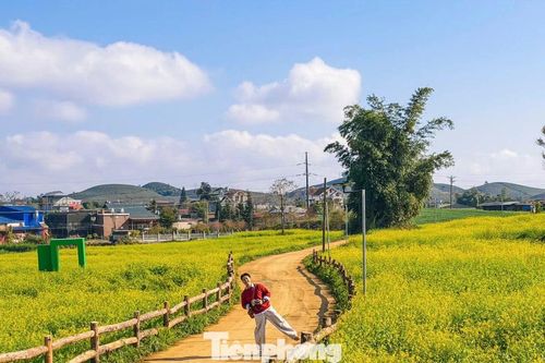 Lạc bước giữa bạt ngàn hoa cải Mộc Châu