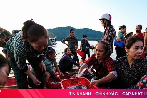 Hà Tĩnh rộn ràng mùa sản xuất cuối năm