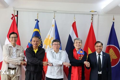 Việt Nam thể hiện tinh thần đoàn kết, trách nhiệm, hợp tác chặt chẽ trong ASEAN