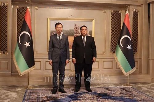 Libya mong muốn Việt Nam hỗ trợ và chia sẻ kinh nghiệm tái thiết đất nước