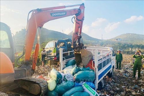Phát hiện, tiêu hủy 1,3 tấn nội tạng động vật không rõ nguồn gốc