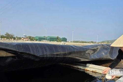Làng biển nổi tiếng xứ Thanh nhộn nhịp ngày cận Tết