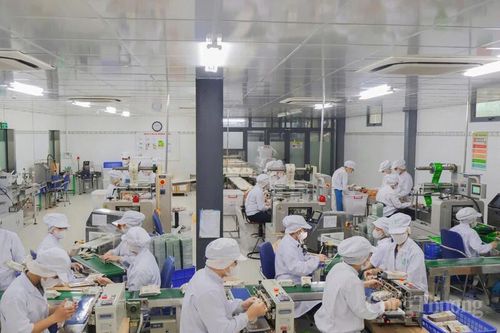 Đà Nẵng: Sản phẩm công nghiệp nông thôn tiêu biểu vào cao điểm Tết