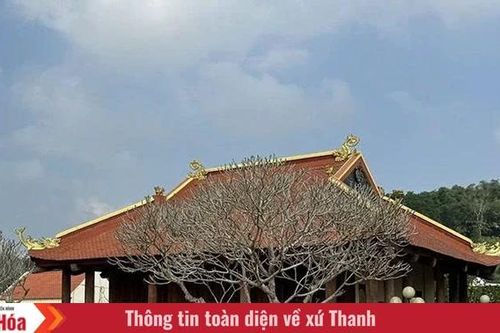 Nguồn lực nội sinh - vươn mình cùng sự phát triển của dân tộc (Bài 3): Khai thác nguồn lực nội sinh - động lực phát triển bền vững