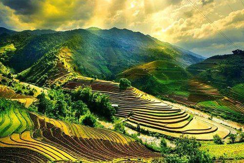 Cuộc đua với thời gian khi 'cỗ xe' tăng trưởng kiểu cũ và nguy cơ 'chưa giàu đã già'