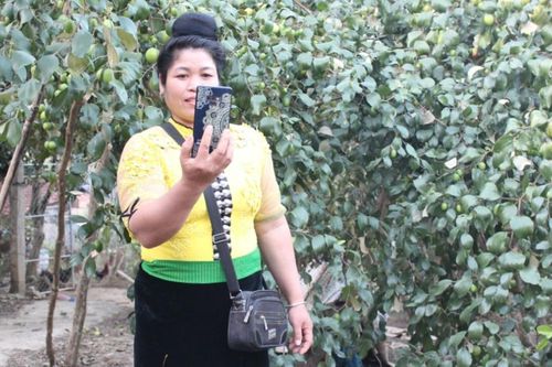 Công nghệ về bản, kinh tế vùng cao Sơn La thêm động lực phát triển