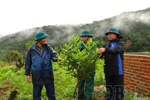 Nền tảng tái cơ cấu nông nghiệp bền vững