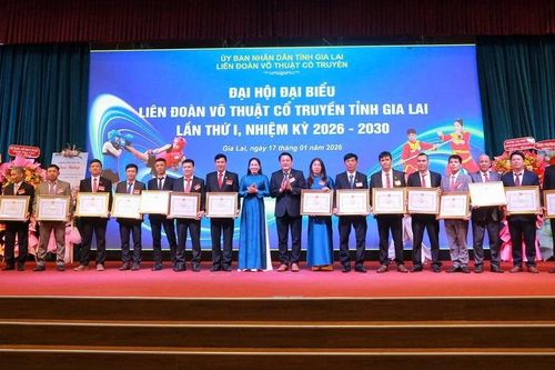 Gia Lai từng bước nâng tầm võ thuật cổ truyền trong nước và quốc tế