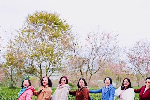 Lâm Đồng làm mới hoạt động đón khách du lịch dịp Xuân