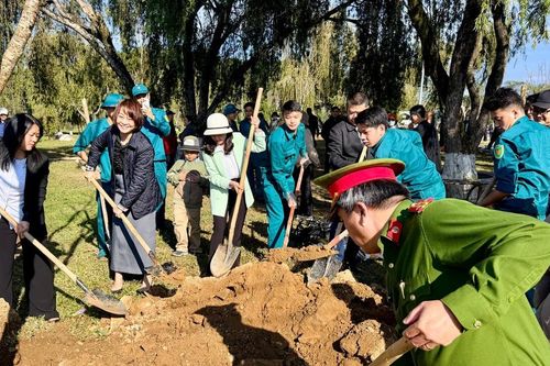 Phường Xuân Hương - Đà Lạt phát động trồng 200 cây mai anh đào